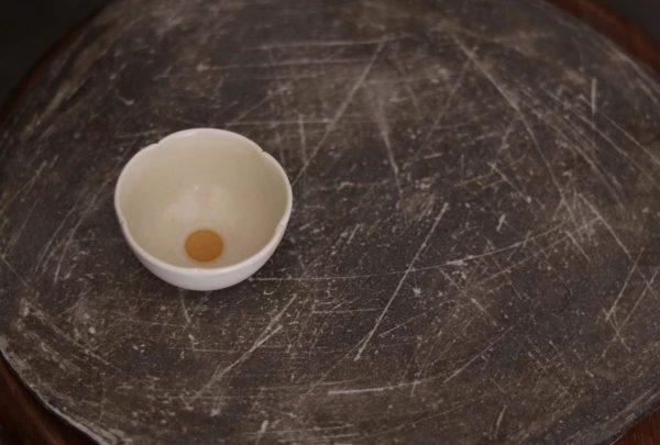 Foshou Cup
