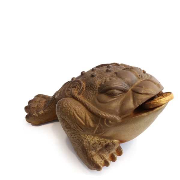 Changing color toad