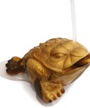 Changing color toad