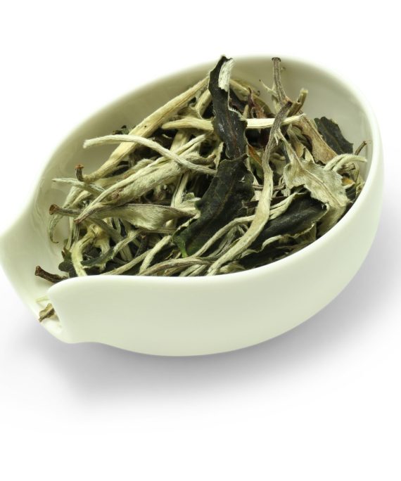 Yue Guang Bai