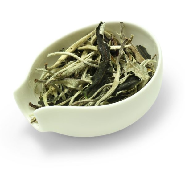 Yue Guang Bai